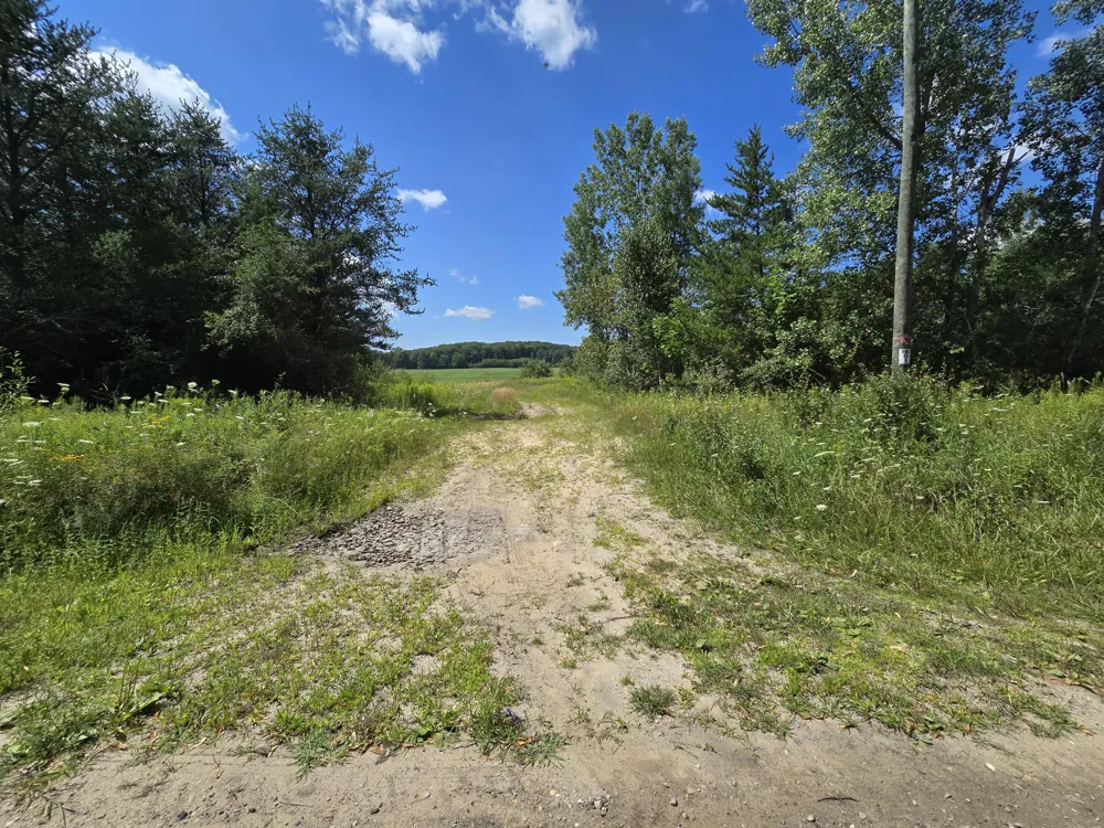 Leckrone Road #Parcel C Brethren, MI 49619