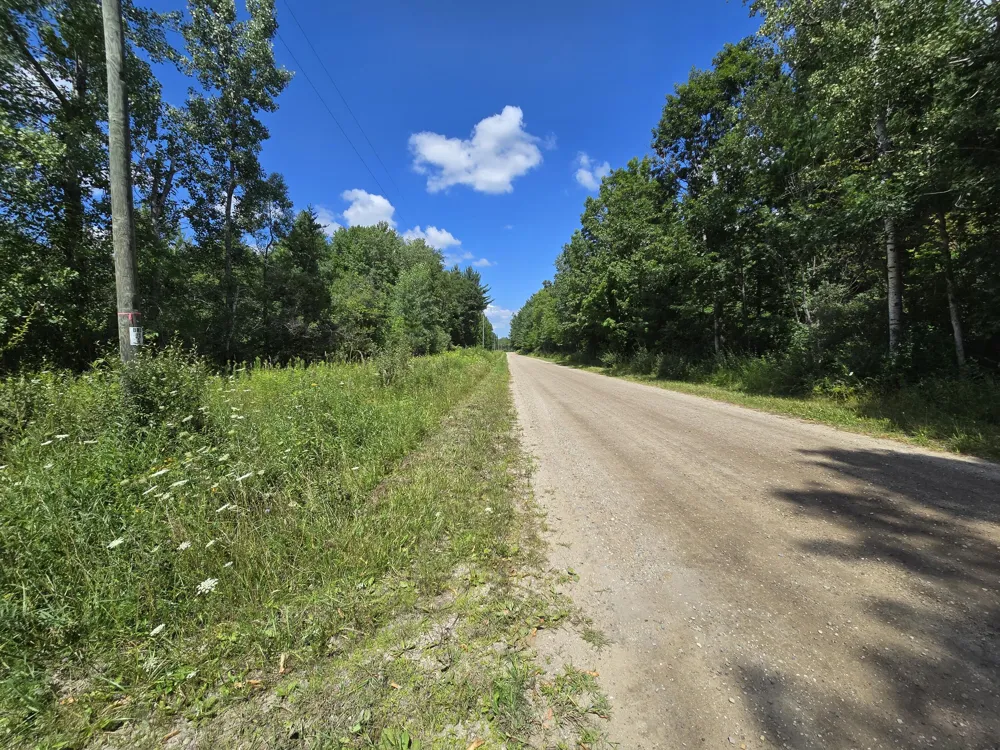Leckrone Road #Parcel C Brethren, MI 49619