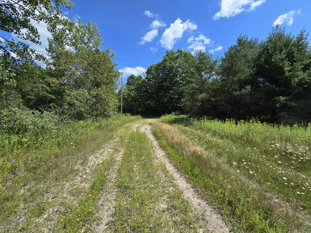 Leckrone Road #Parcel C Brethren, MI 49619