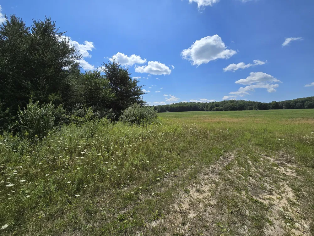 Leckrone Road #Parcel C Brethren, MI 49619
