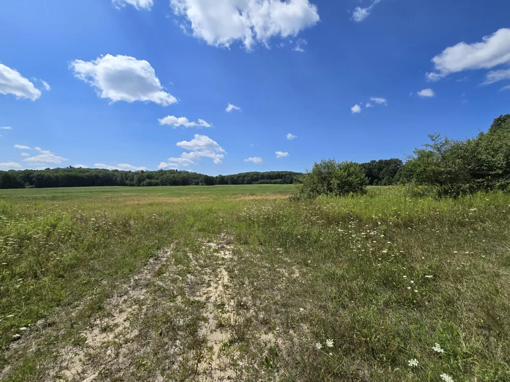 Leckrone Road #Parcel C Brethren, MI 49619
