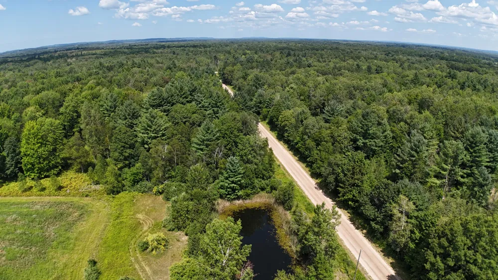 Leckrone Road #Parcel C Brethren, MI 49619