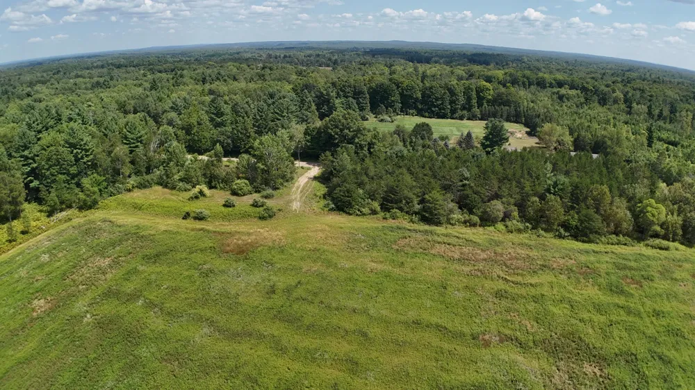 Leckrone Road #Parcel C Brethren, MI 49619
