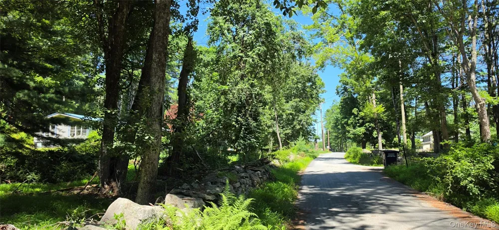 Lot # 7 Irishtown Road Narrowsburg, NY 12764