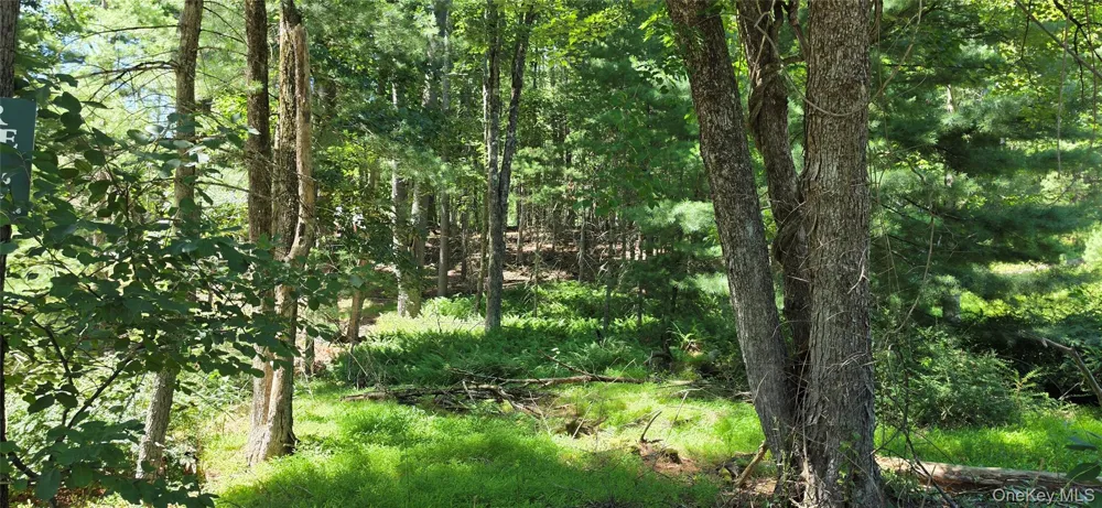Lot # 7 Irishtown Road Narrowsburg, NY 12764