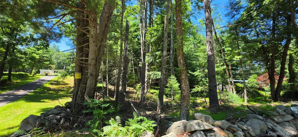 Lot # 7 Irishtown Road Narrowsburg, NY 12764