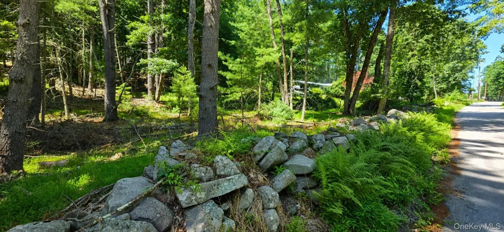 Lot # 7 Irishtown Road Narrowsburg, NY 12764
