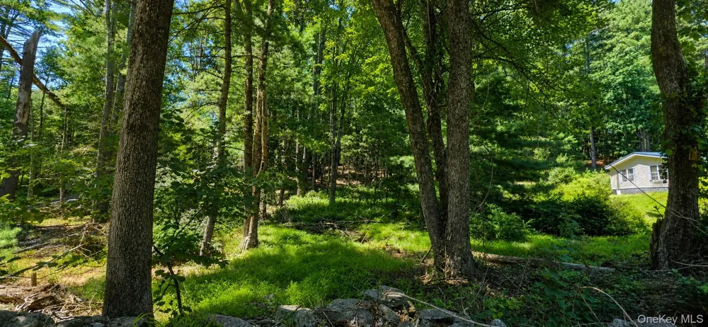 Lot # 7 Irishtown Road Narrowsburg, NY 12764