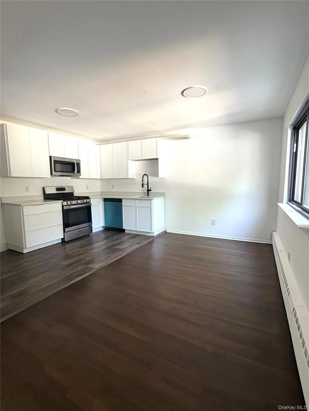 3 W Lawrence Park Drive #1 Piermont, NY 10968