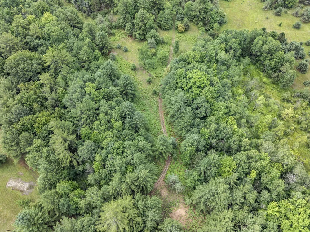 9191 W 34 ROAD Harrietta, MI 49638