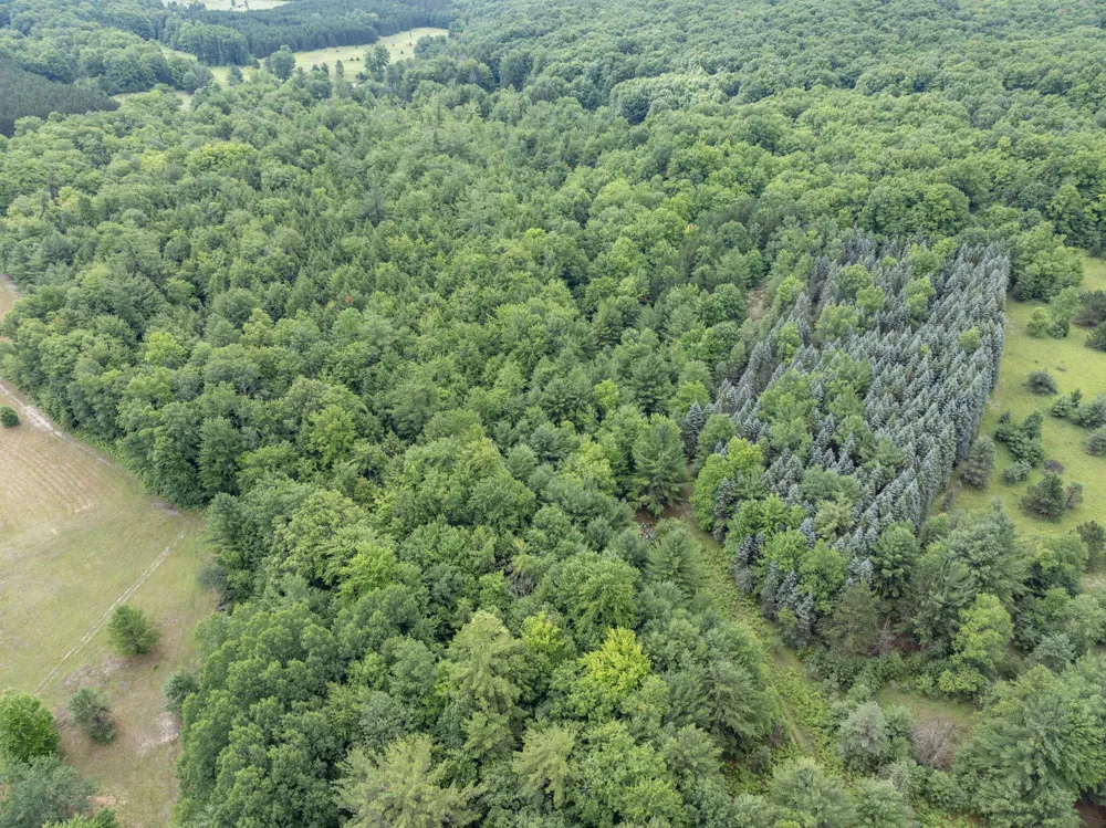 9191 W 34 ROAD Harrietta, MI 49638