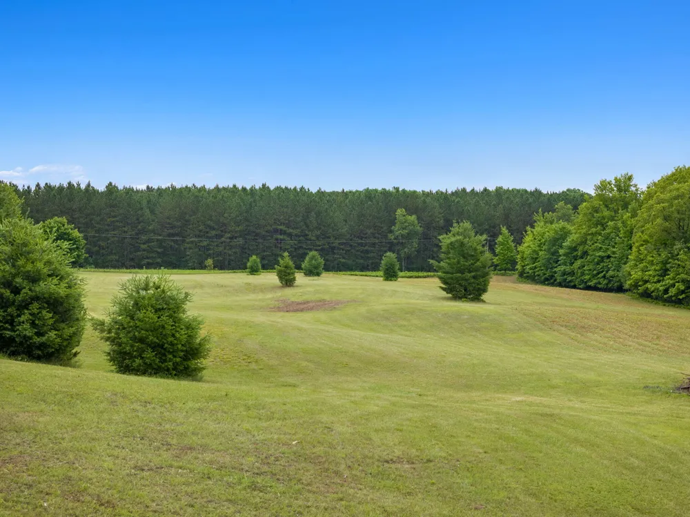 9191 W 34 ROAD Harrietta, MI 49638