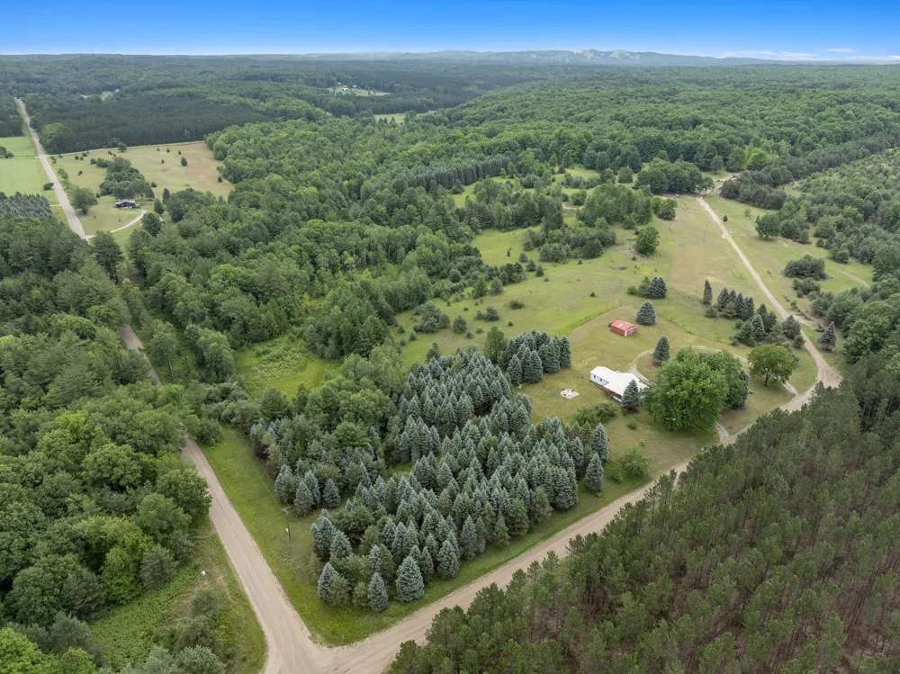 9191 W 34 ROAD Harrietta, MI 49638