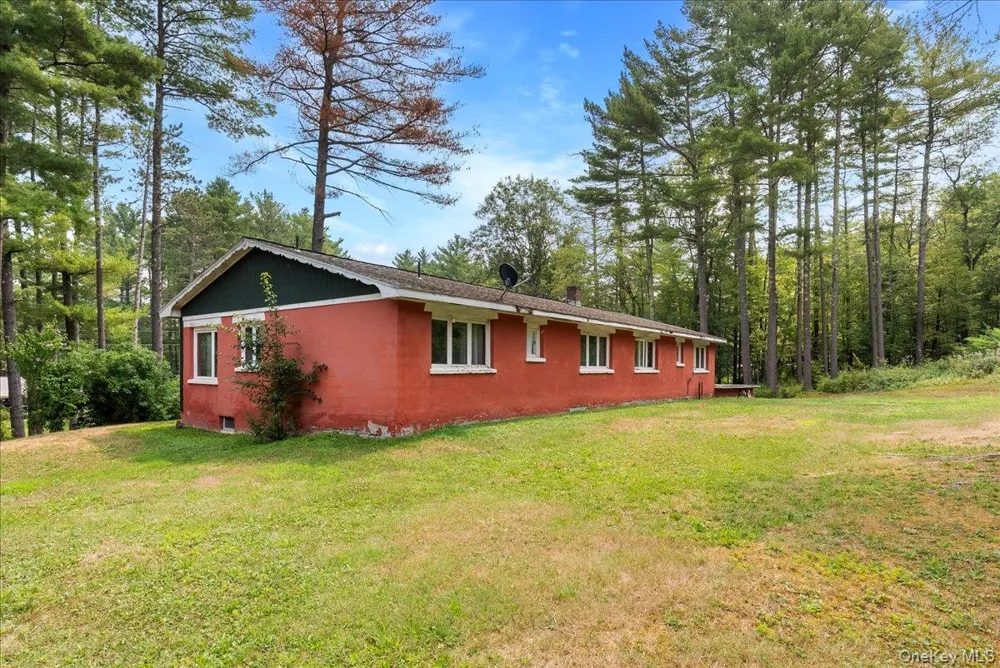 24 Alpine Drive Cairo, NY 12473