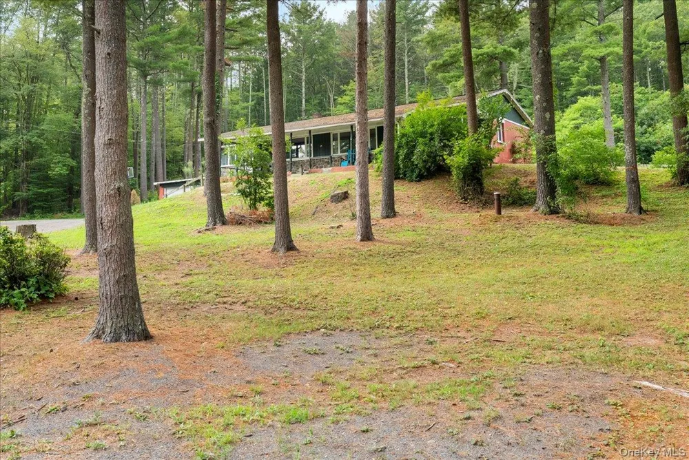 24 Alpine Drive Cairo, NY 12473