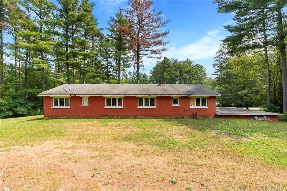 24 Alpine Drive Cairo, NY 12473