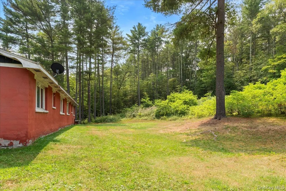 24 Alpine Drive Cairo, NY 12473