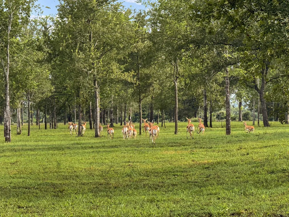 1100 Felder Road Washington, TX 77880