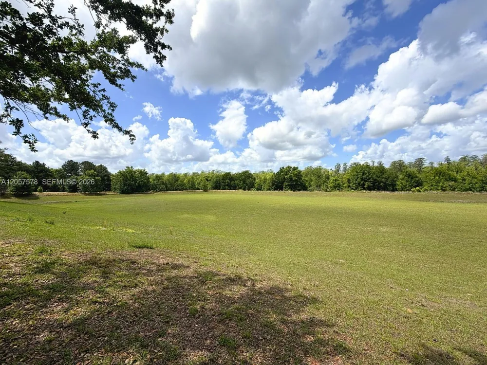 233 Aldridge Ln Davenport, FL 33897