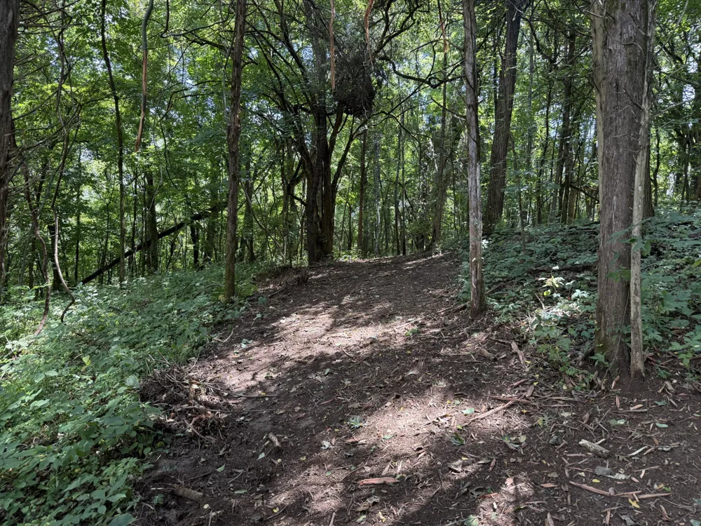 0 Rock Springs Rd Columbia, TN 38401