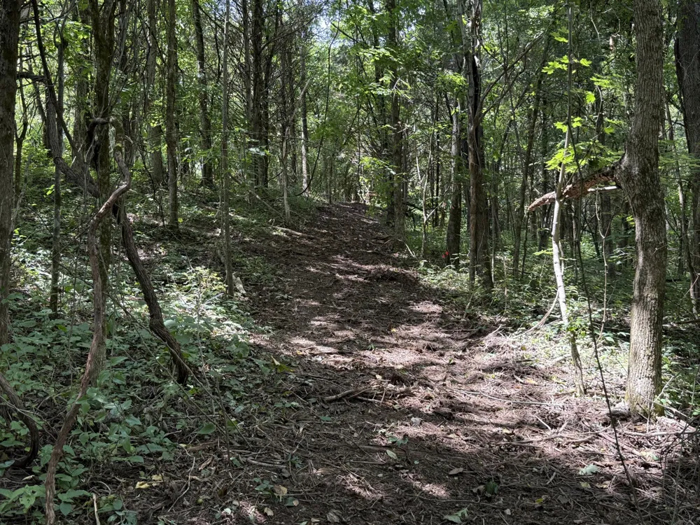 0 Rock Springs Rd Columbia, TN 38401