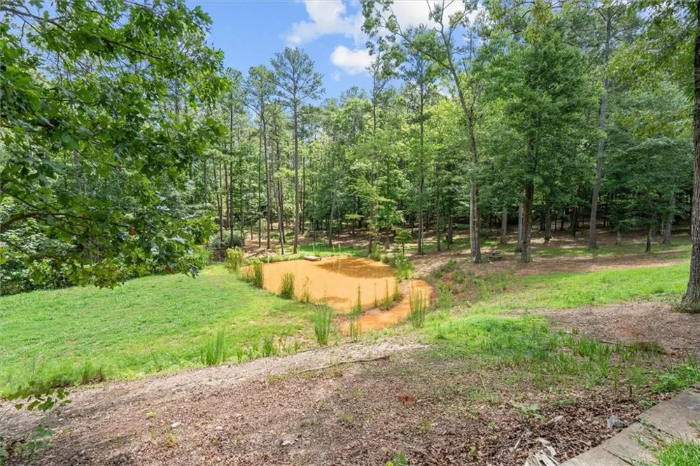 9790 Court Lynn Lane Winston, GA 30187