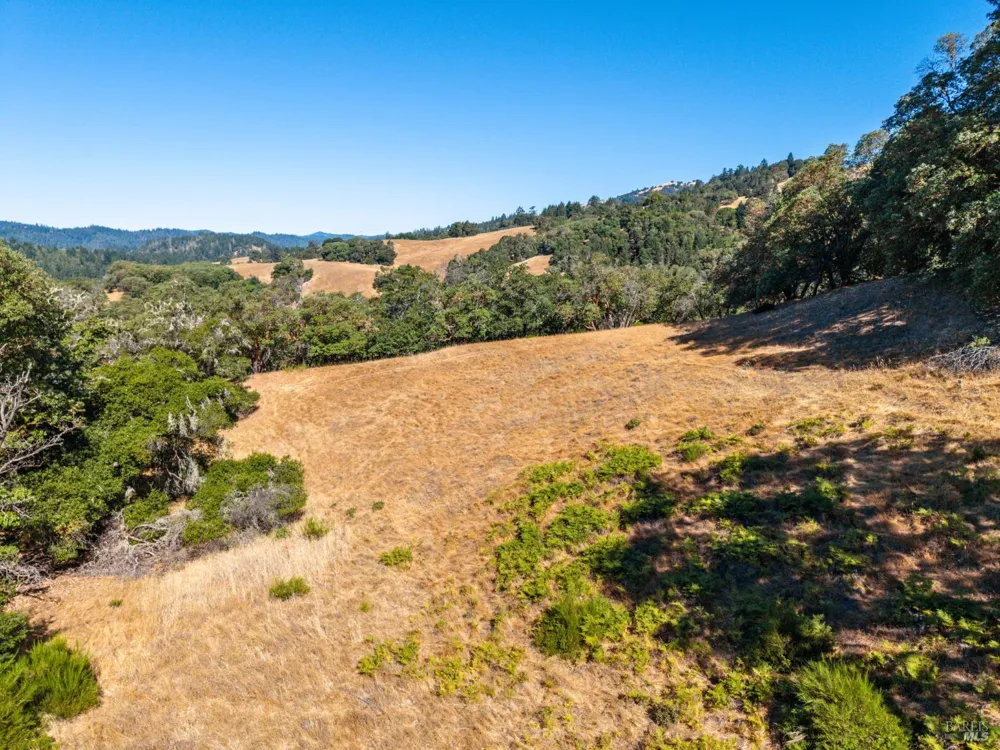 24051 Fig Tree Lane Yorkville, CA 95494