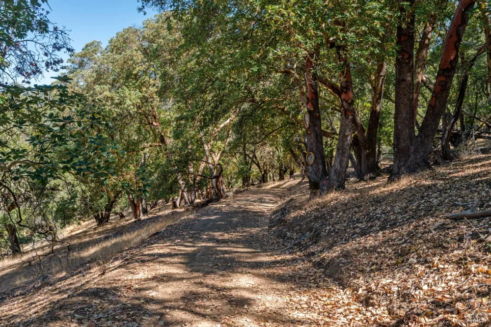 24051 Fig Tree Lane Yorkville, CA 95494