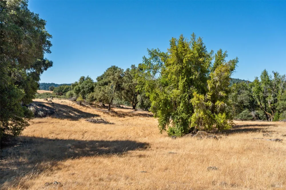 24051 Fig Tree Lane Yorkville, CA 95494