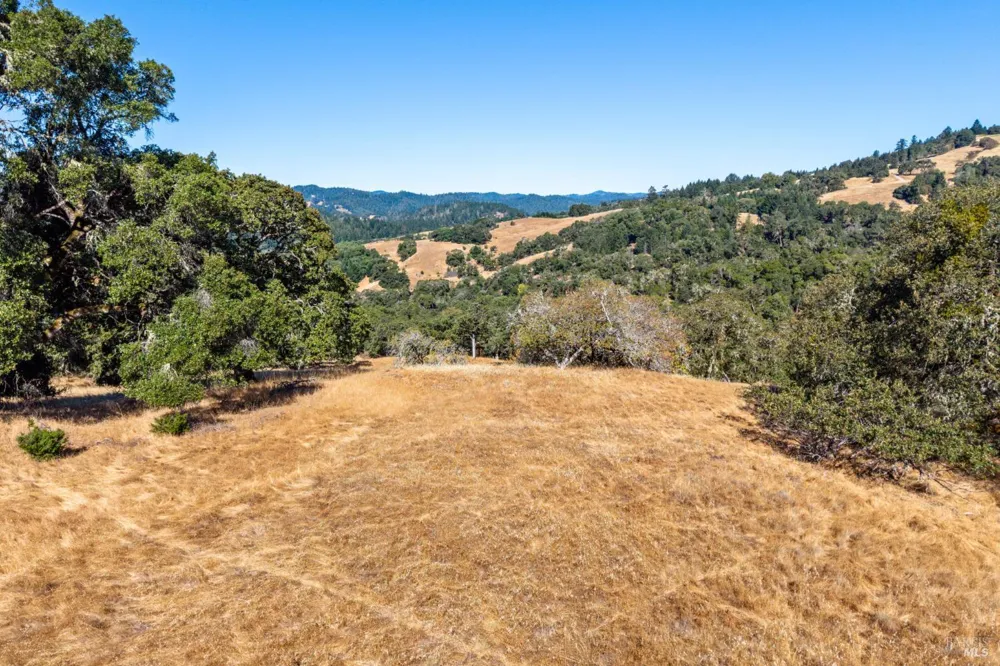 24051 Fig Tree Lane Yorkville, CA 95494