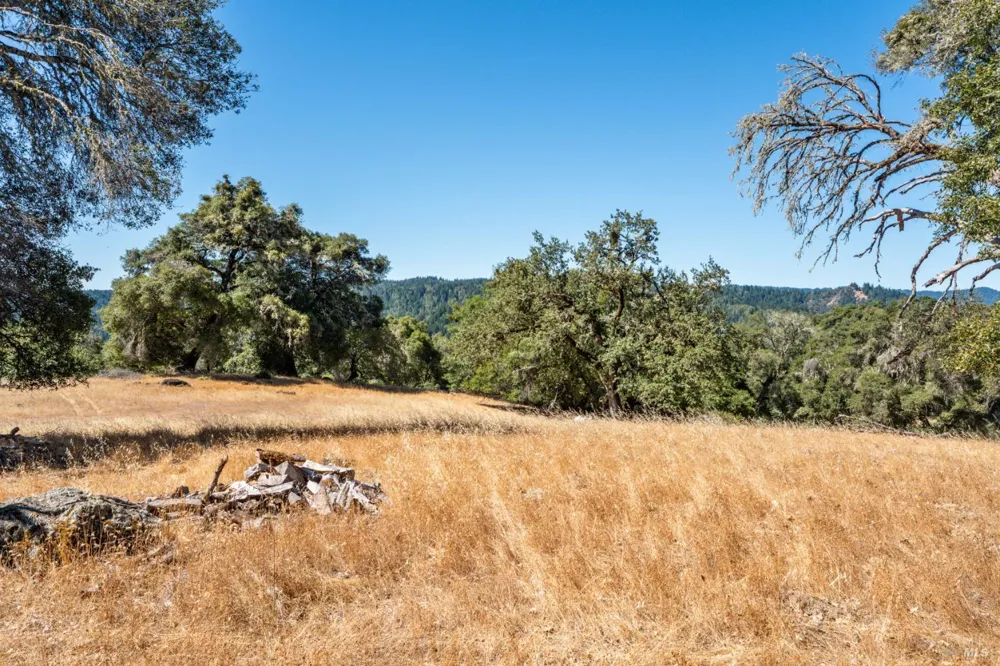 24051 Fig Tree Lane Yorkville, CA 95494