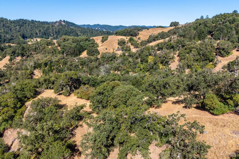 24051 Fig Tree Lane Yorkville, CA 95494