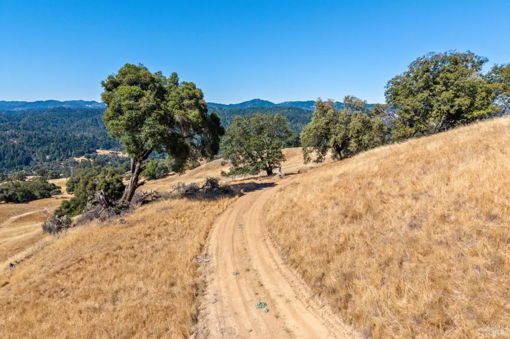 24051 Fig Tree Lane Yorkville, CA 95494