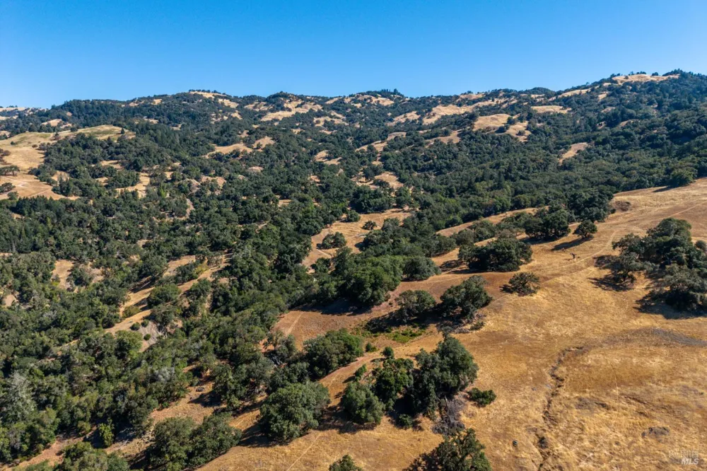 24051 Fig Tree Lane Yorkville, CA 95494