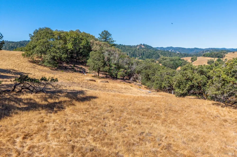 24051 Fig Tree Lane Yorkville, CA 95494