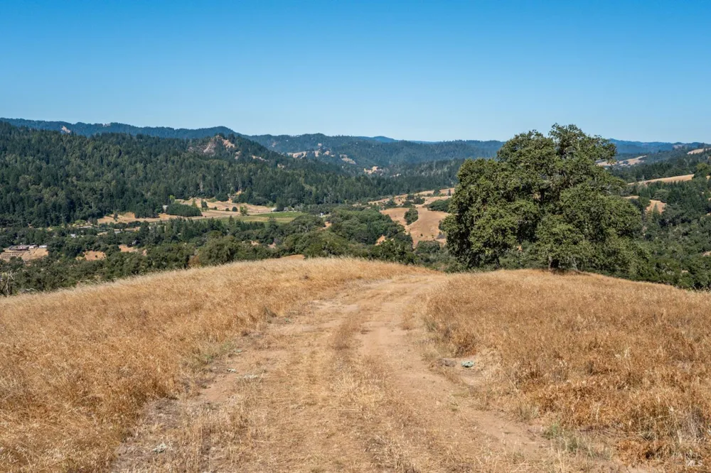 24051 Fig Tree Lane Yorkville, CA 95494