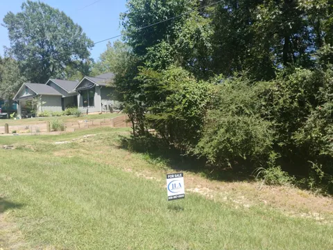Magnolia Lane