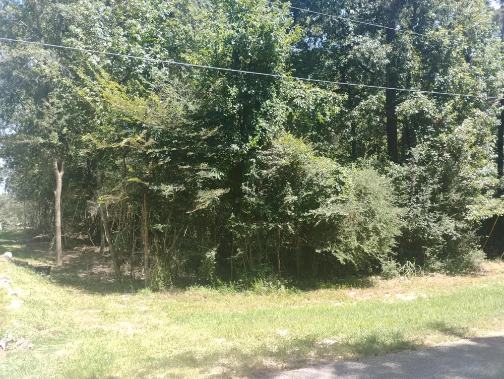 Magnolia Lane Onalaska, TX 77360