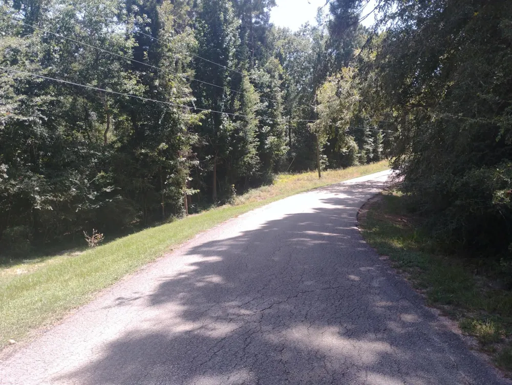Magnolia Lane Onalaska, TX 77360