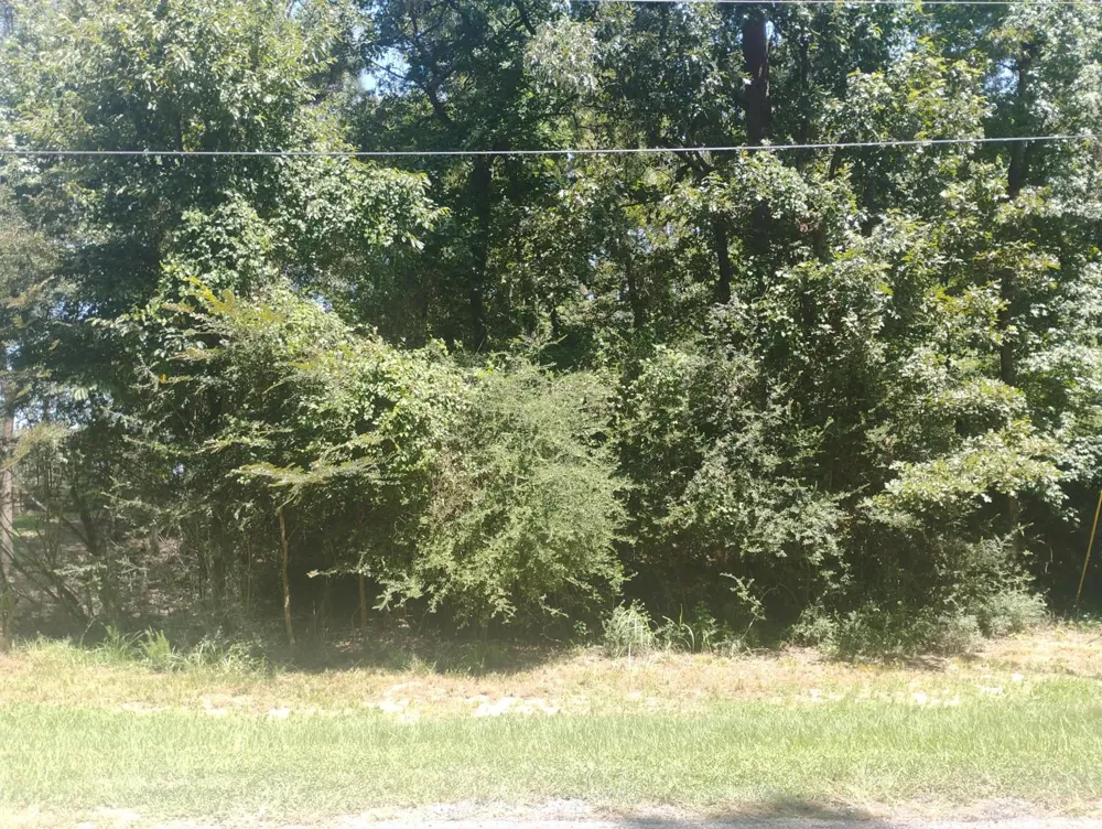 Magnolia Lane Onalaska, TX 77360