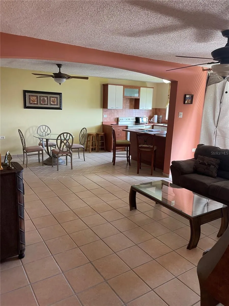 1405 CALLE SALVADOR TIO #1405 Mayaguez, PR 00682