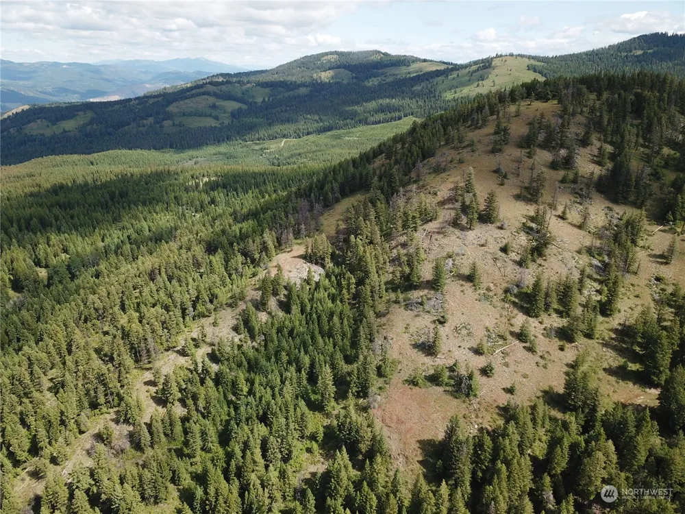 177 First Creek Road Curlew, WA 99118