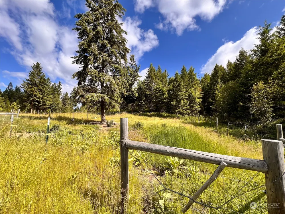 177 First Creek Road Curlew, WA 99118