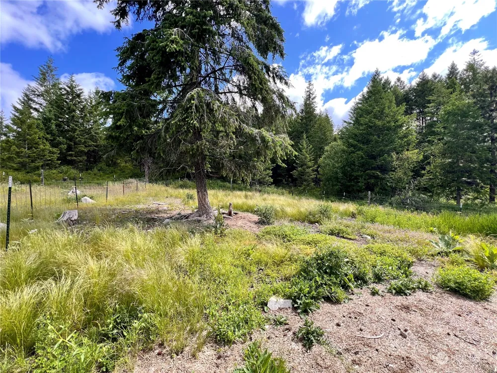 177 First Creek Road Curlew, WA 99118