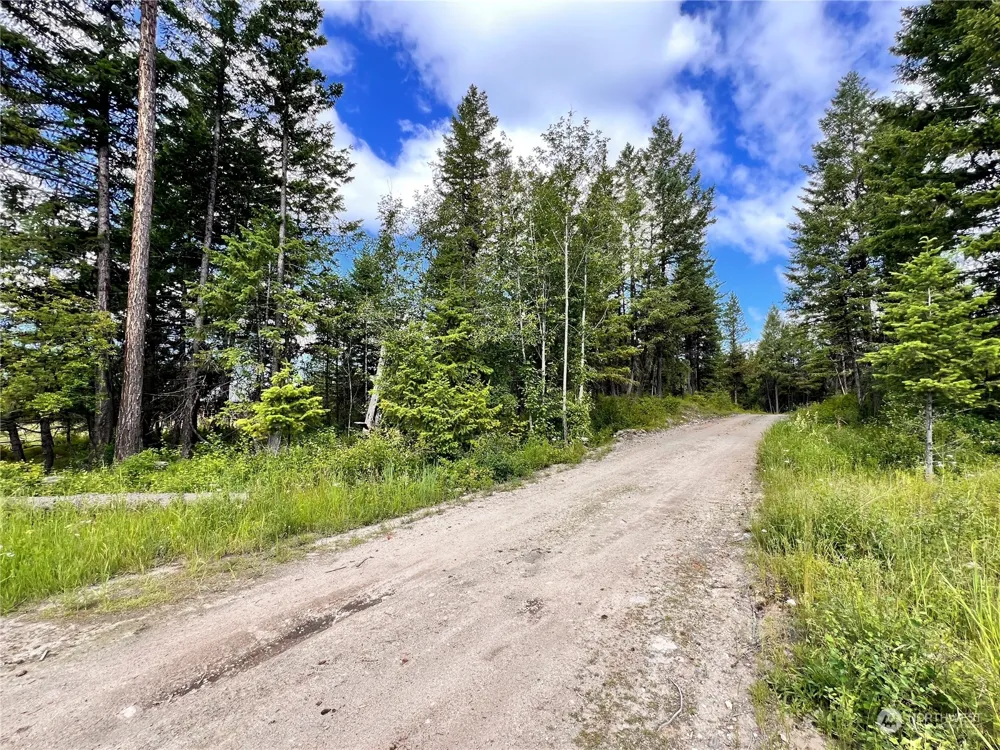 177 First Creek Road Curlew, WA 99118