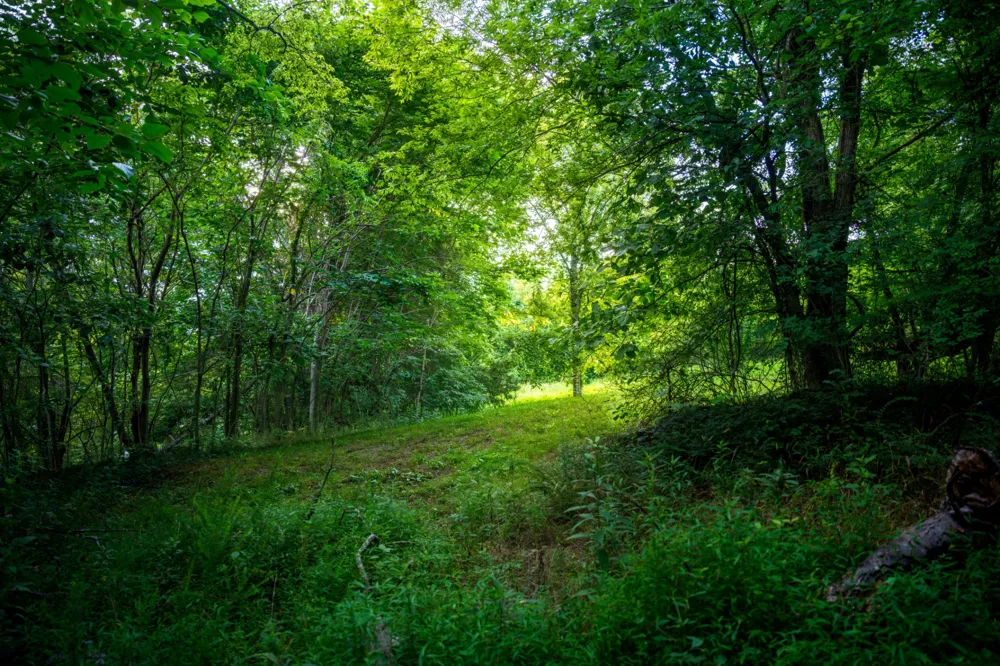128 Leath Ln Bethpage, TN 37022