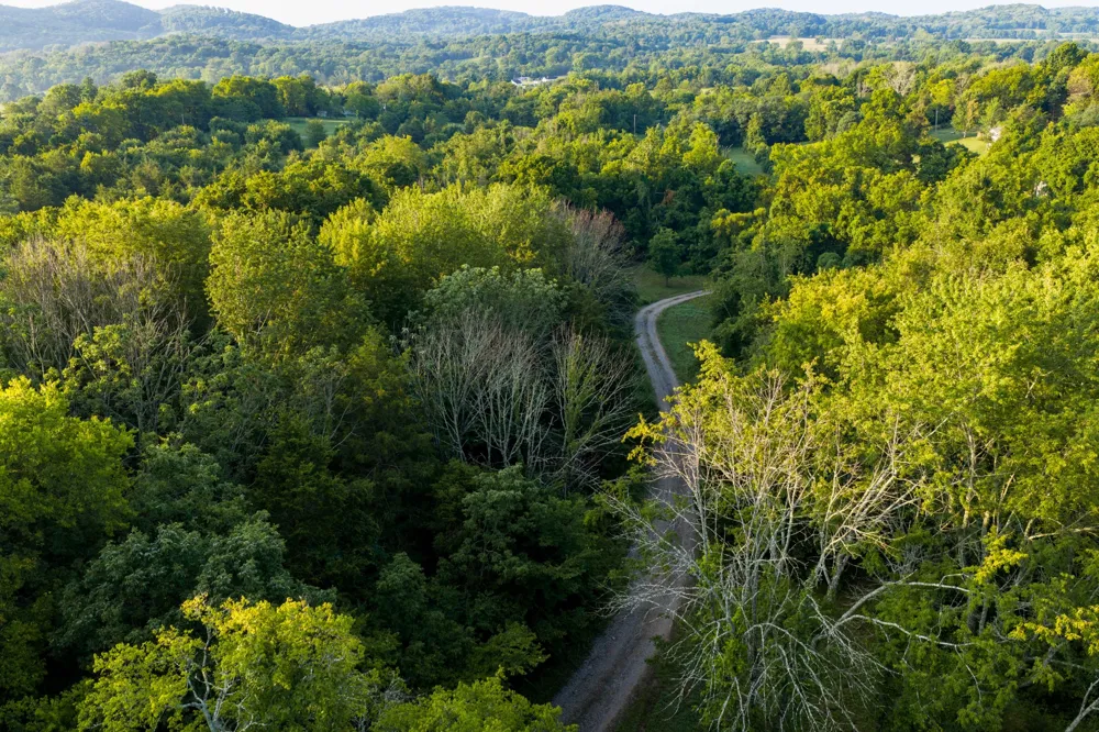 128 Leath Ln Bethpage, TN 37022