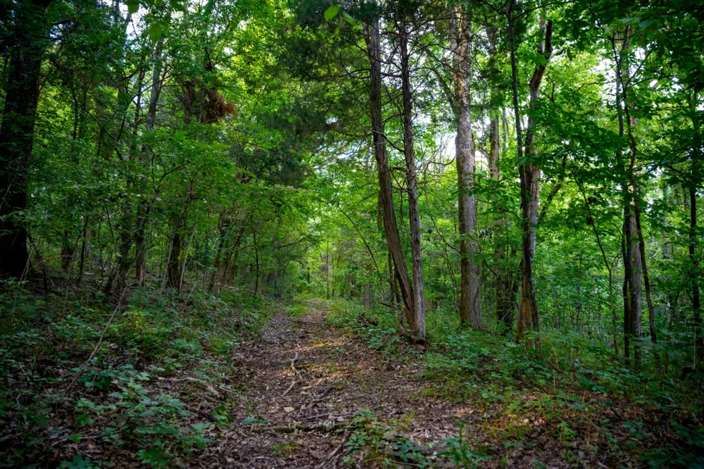 128 Leath Ln Bethpage, TN 37022
