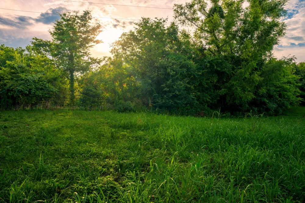128 Leath Ln Bethpage, TN 37022