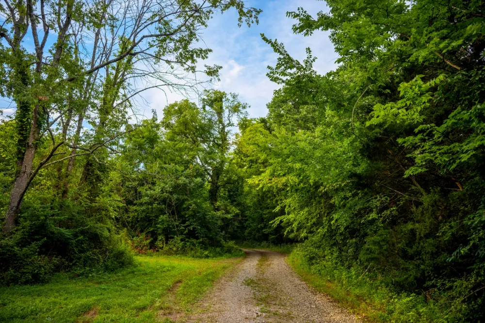 128 Leath Ln Bethpage, TN 37022